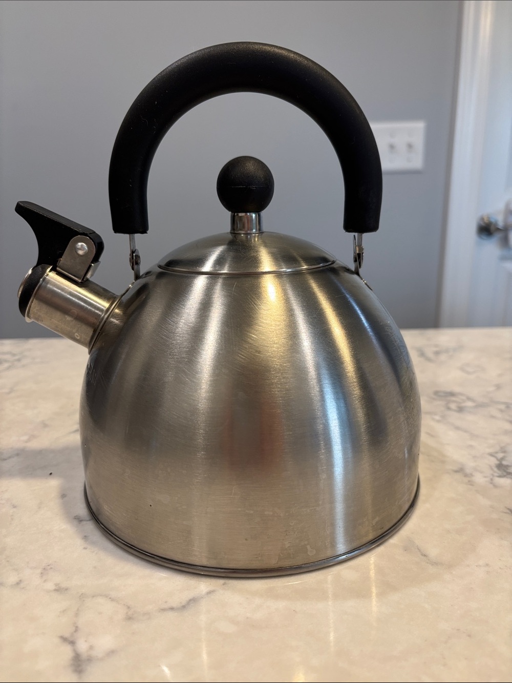 Stainless Steel Whistling Tea Kettle with Black Handle